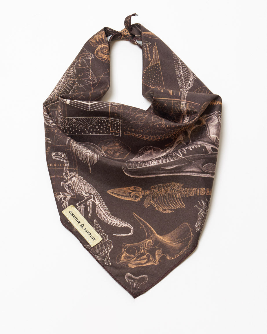 Dinosaurs Eco Pet Bandana – Cognitive Surplus