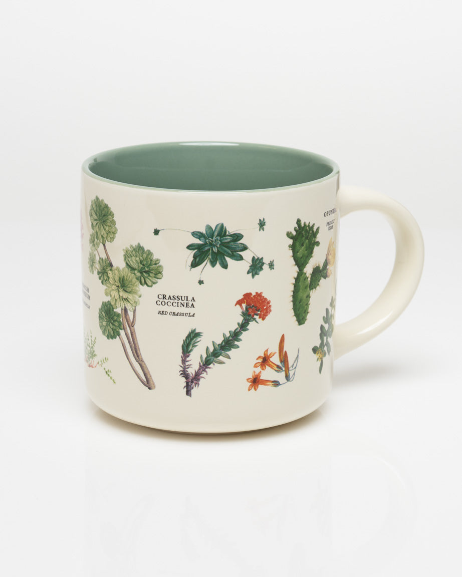 Succulents Mug - Cactus Mug