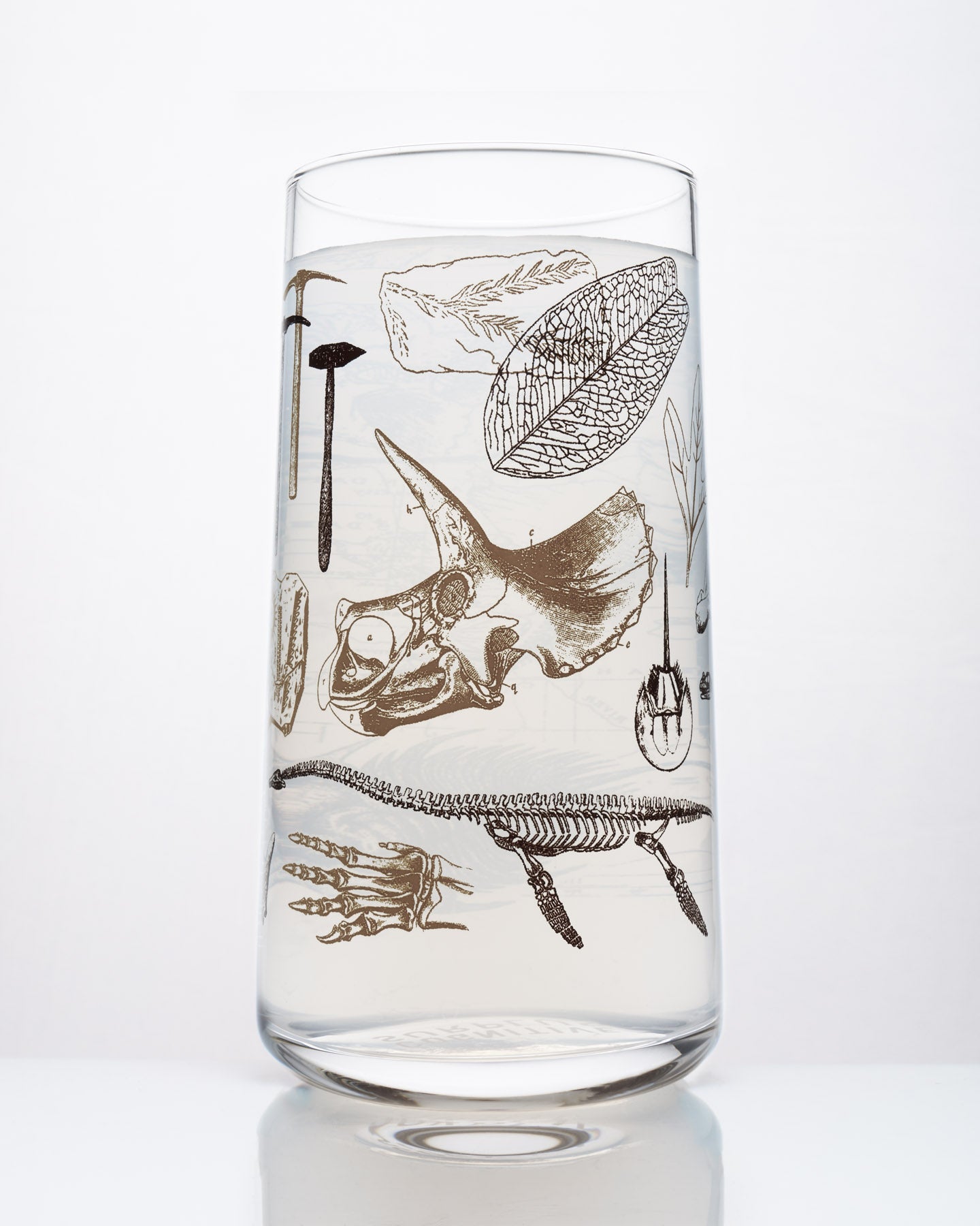 Vintage Dinosaur Drinking Glass Pack of 4