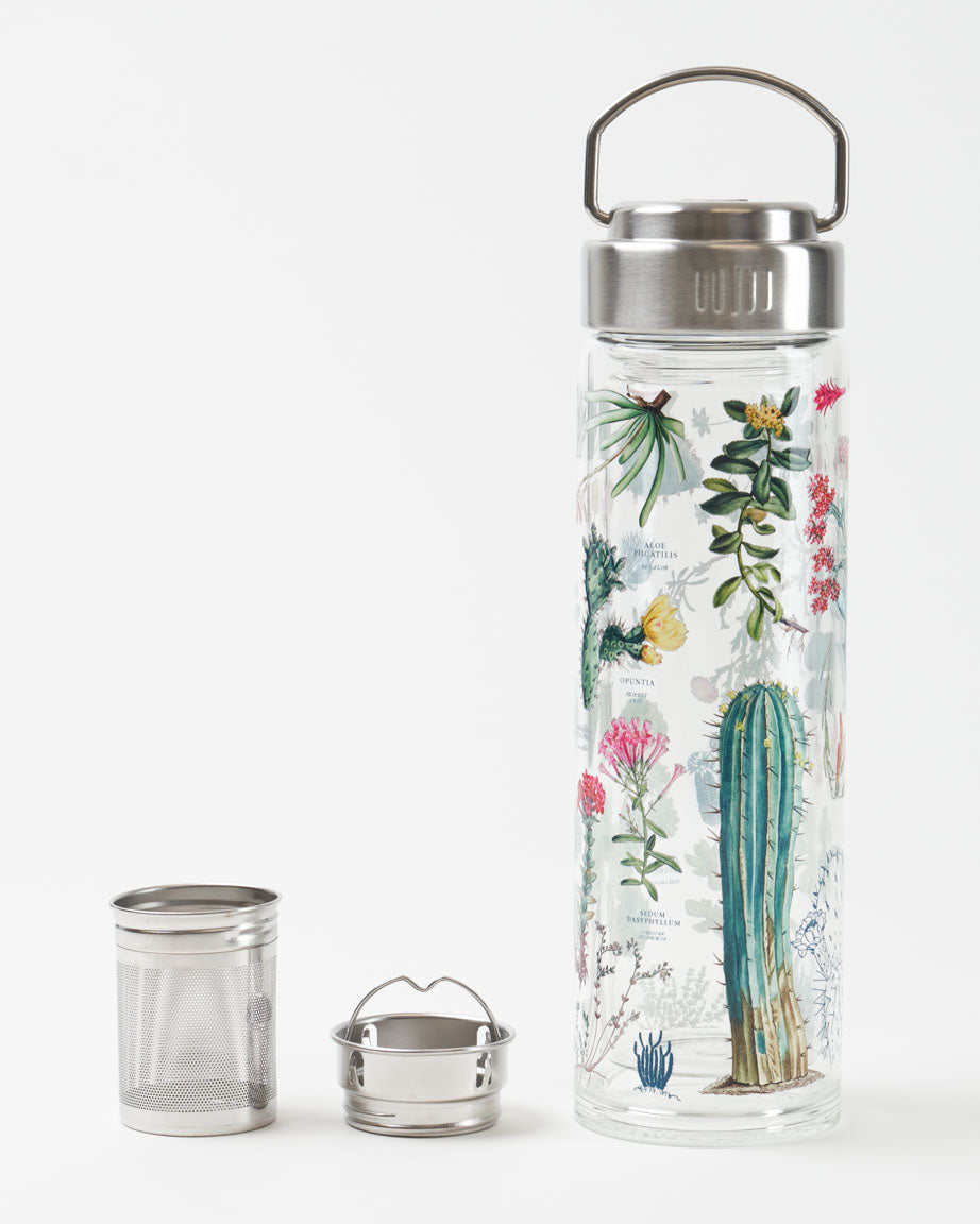 watering bottle for succulents Succulents Tea Infuser - Cactus Tea Strainer