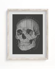 A black and white Skull Medical Illustration Museum Print in a Cognitive Surplus framed frame.