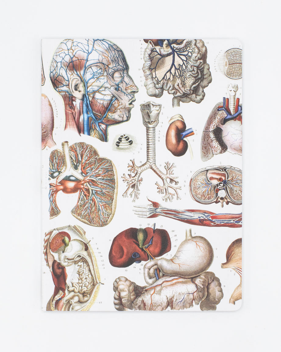Internal Medicine Softcover Notebook - Lined | Cognitive Surplus