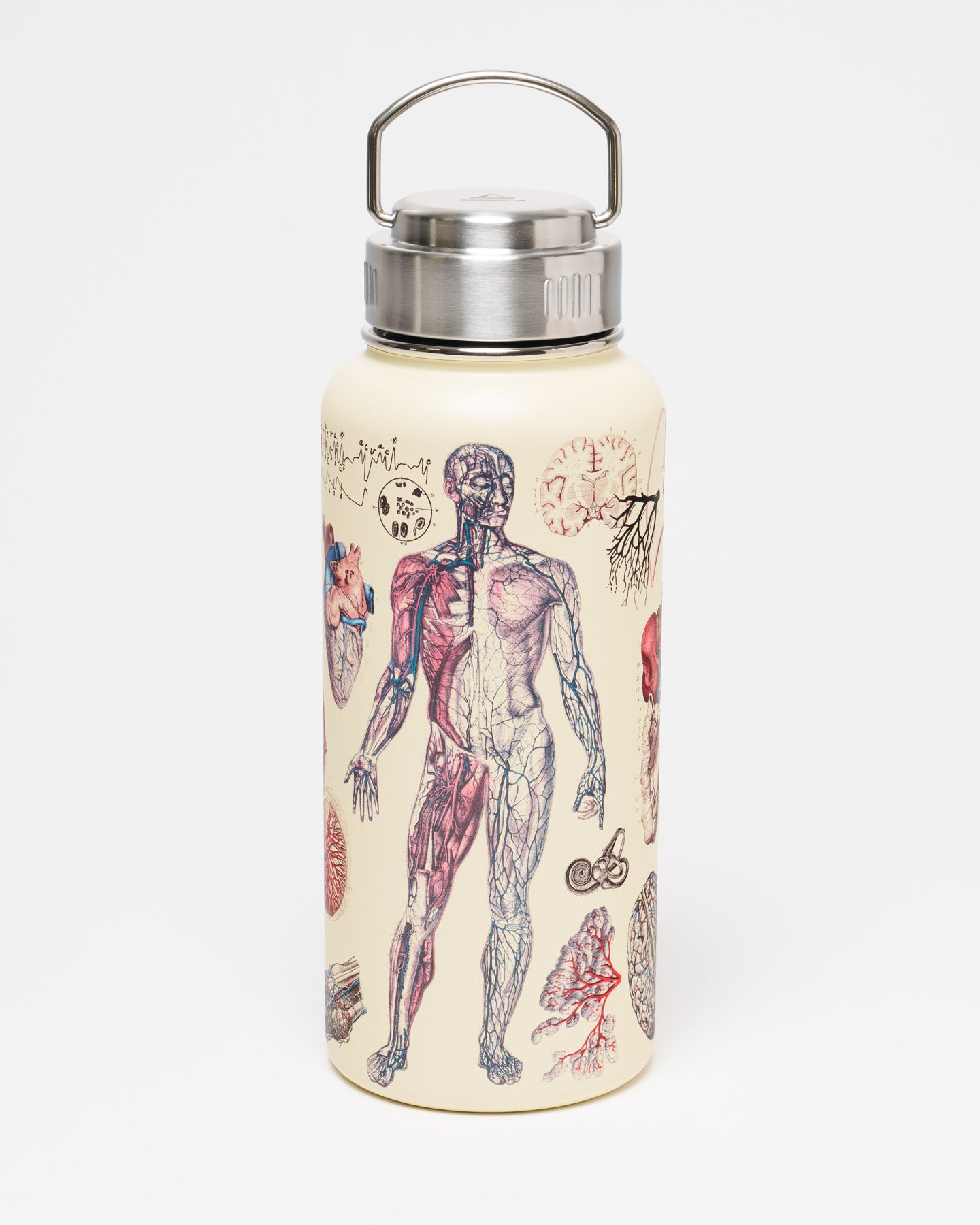 Anatomy Stainless Steel Travel Mug