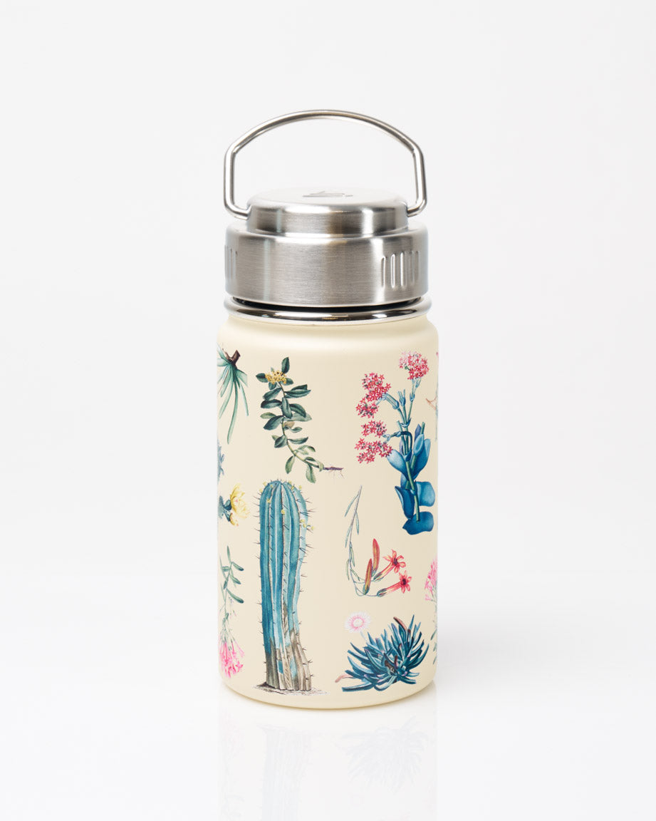 steel succulents Succulents Stainless Steel Travel Mug