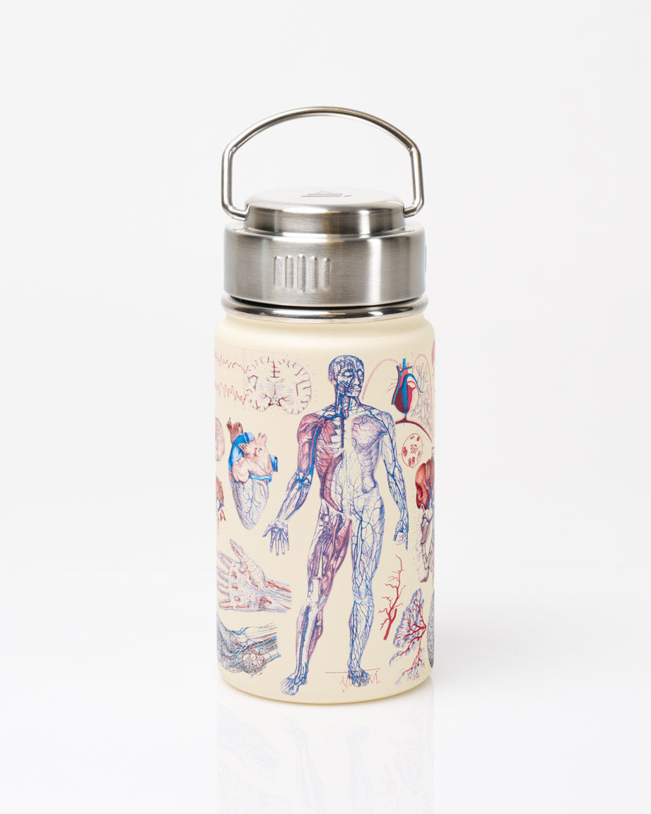 Human Anatomy 12 oz Steel Bottle - Main Image