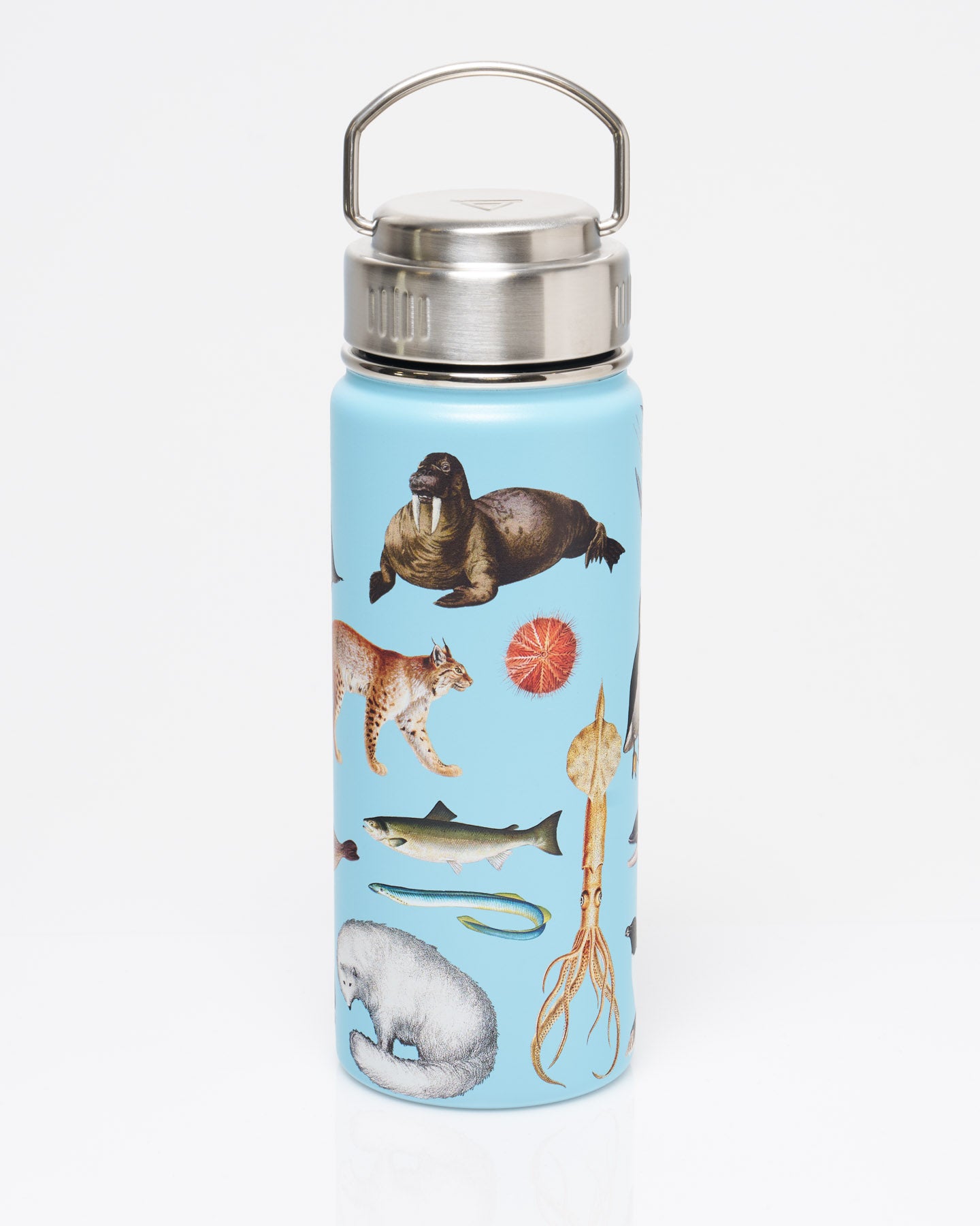 Mug Zoologie Polaire 440 ml