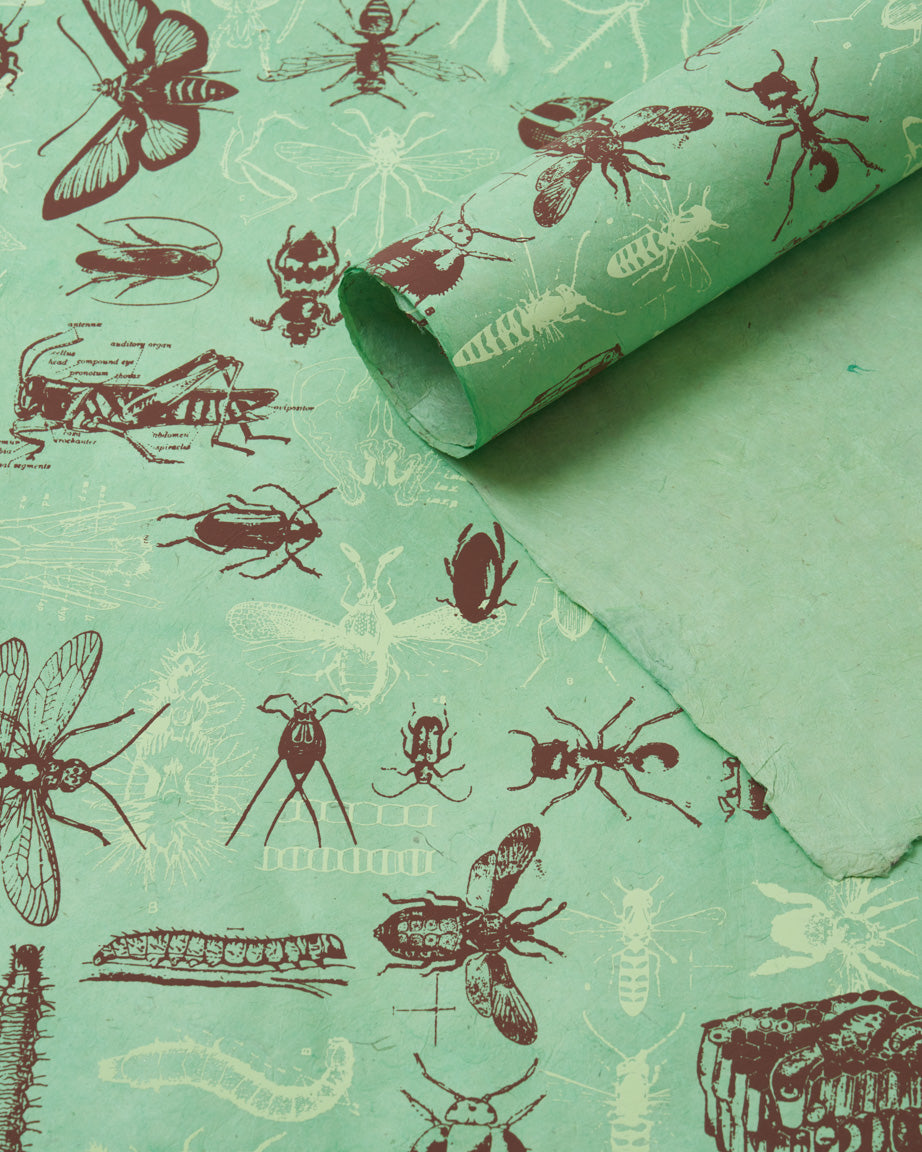 Garden Friends Wrapping Paper – Cognitive Surplus