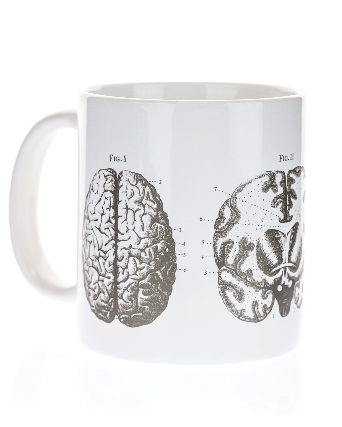 http://cognitive-surplus.com/cdn/shop/products/Anatomical-Brain-20-oz-Mega-Mug-Cognitive-Surplus-796.jpg?v=1659329001