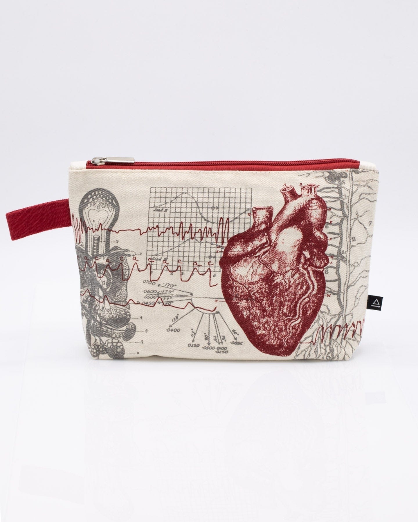 Heart Anatomy Pencil Bag – Cognitive Surplus