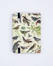Birds & Feathers Observation Softcover Cognitive Surplus