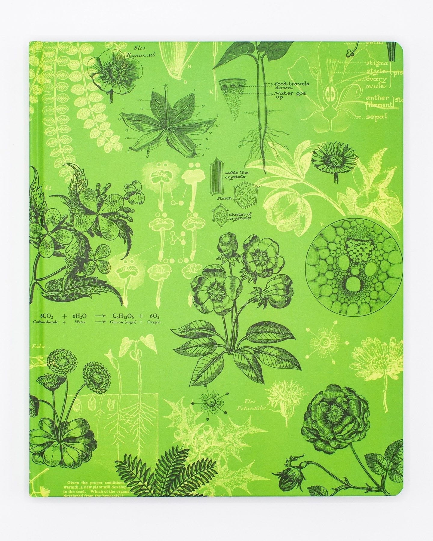 Botany Plant Notebook – Cognitive Surplus