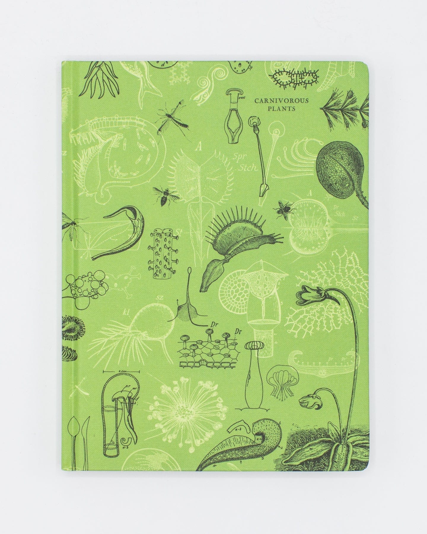 Venus FlyTrap Lay-Flat Pencil Case