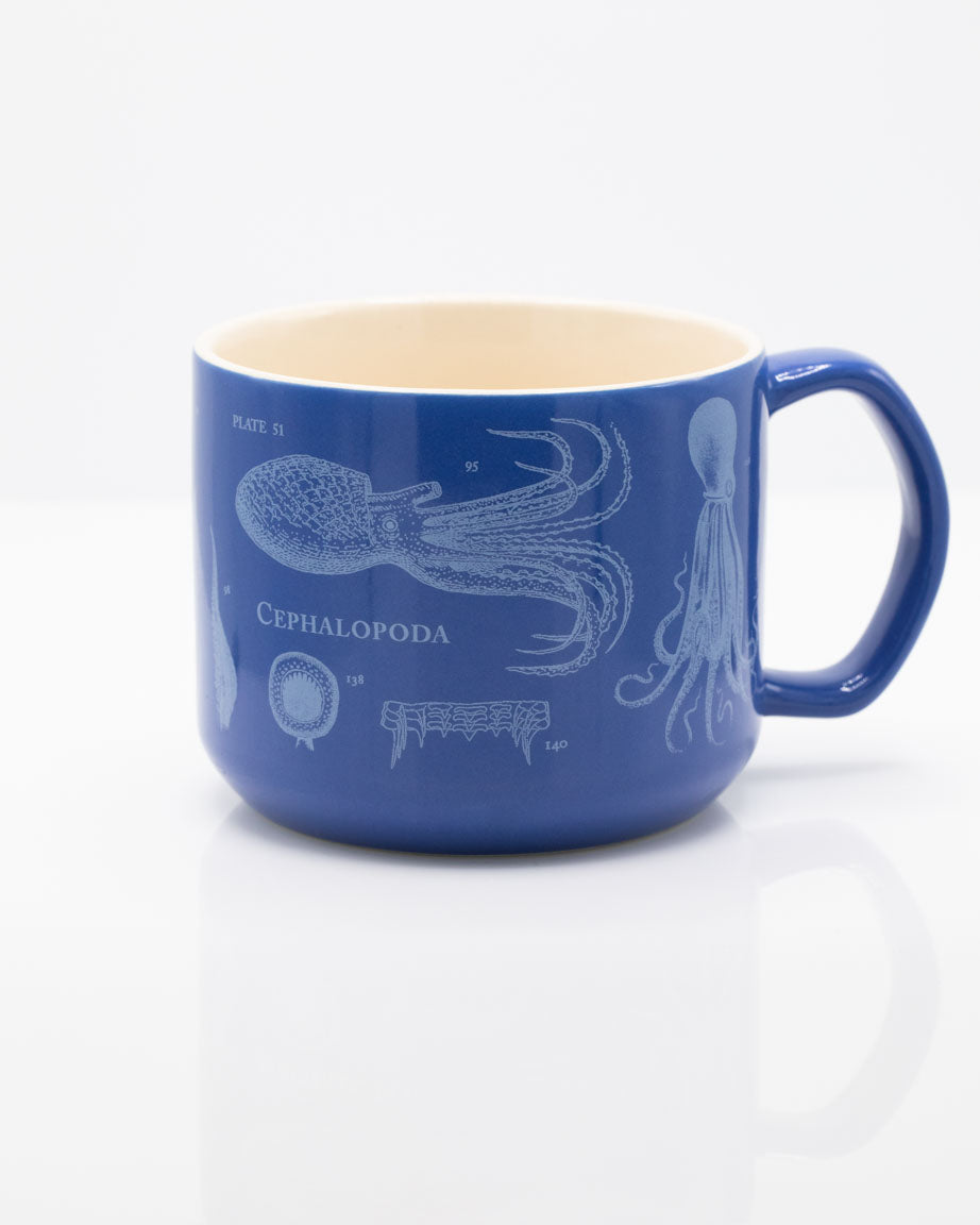 Personalise Your Name Starbucks Coffee Tea Mug Gift 11oz Ceramic and  Coaster Set Option 
