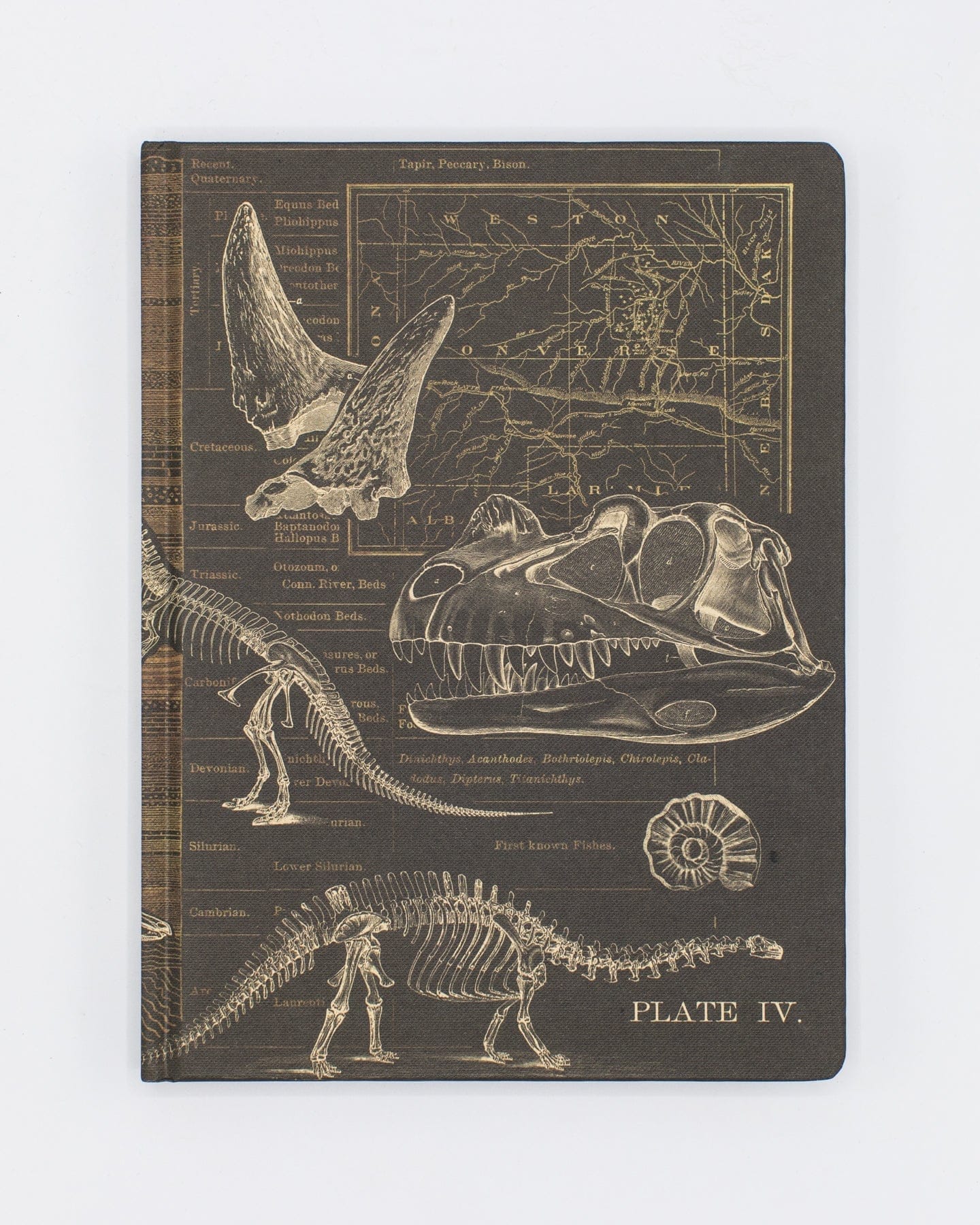 Paleontology　Notebook　Cognitive　–　Surplus　Dinosaur　Hardcover