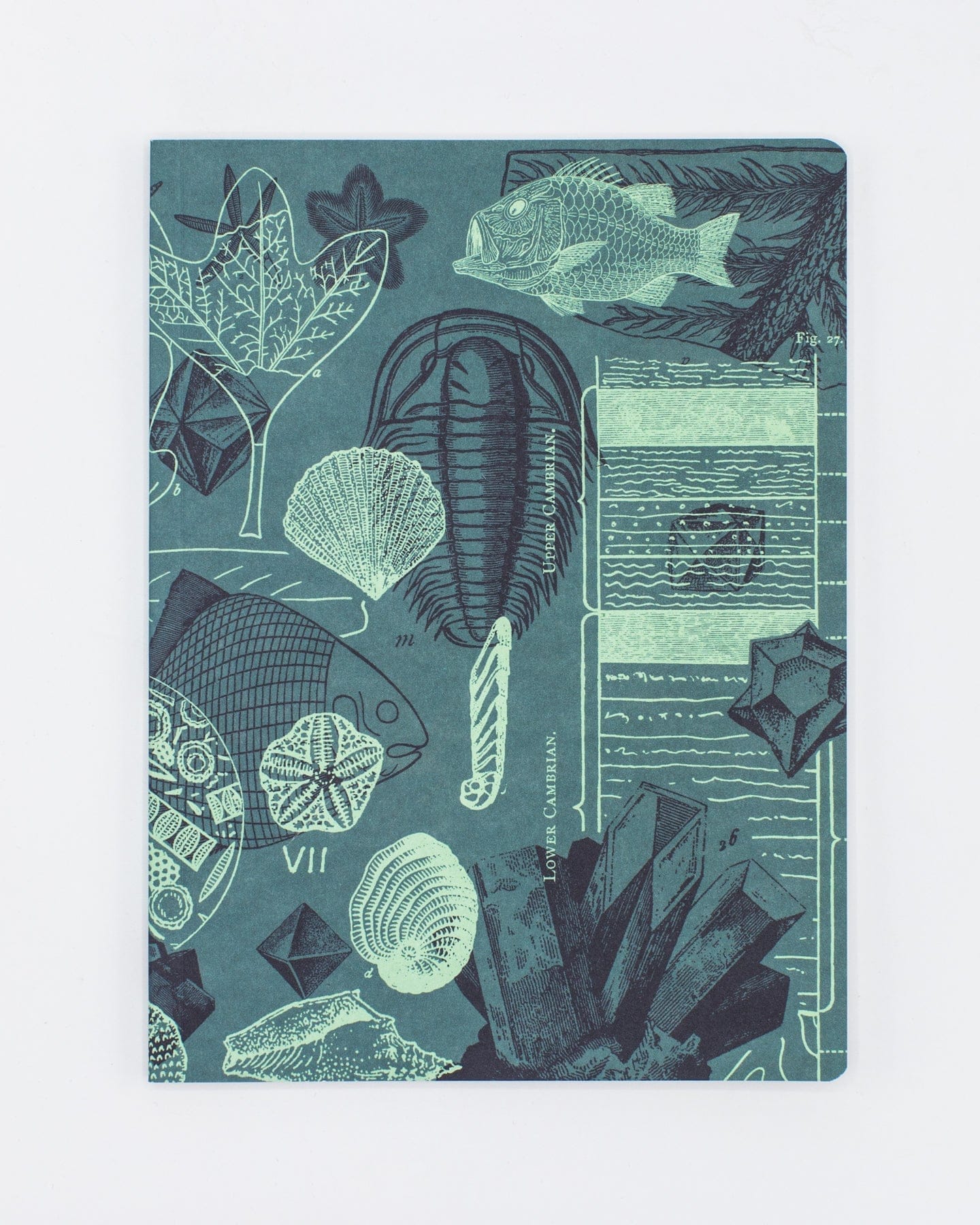 Paleontology Notebook - Softcover