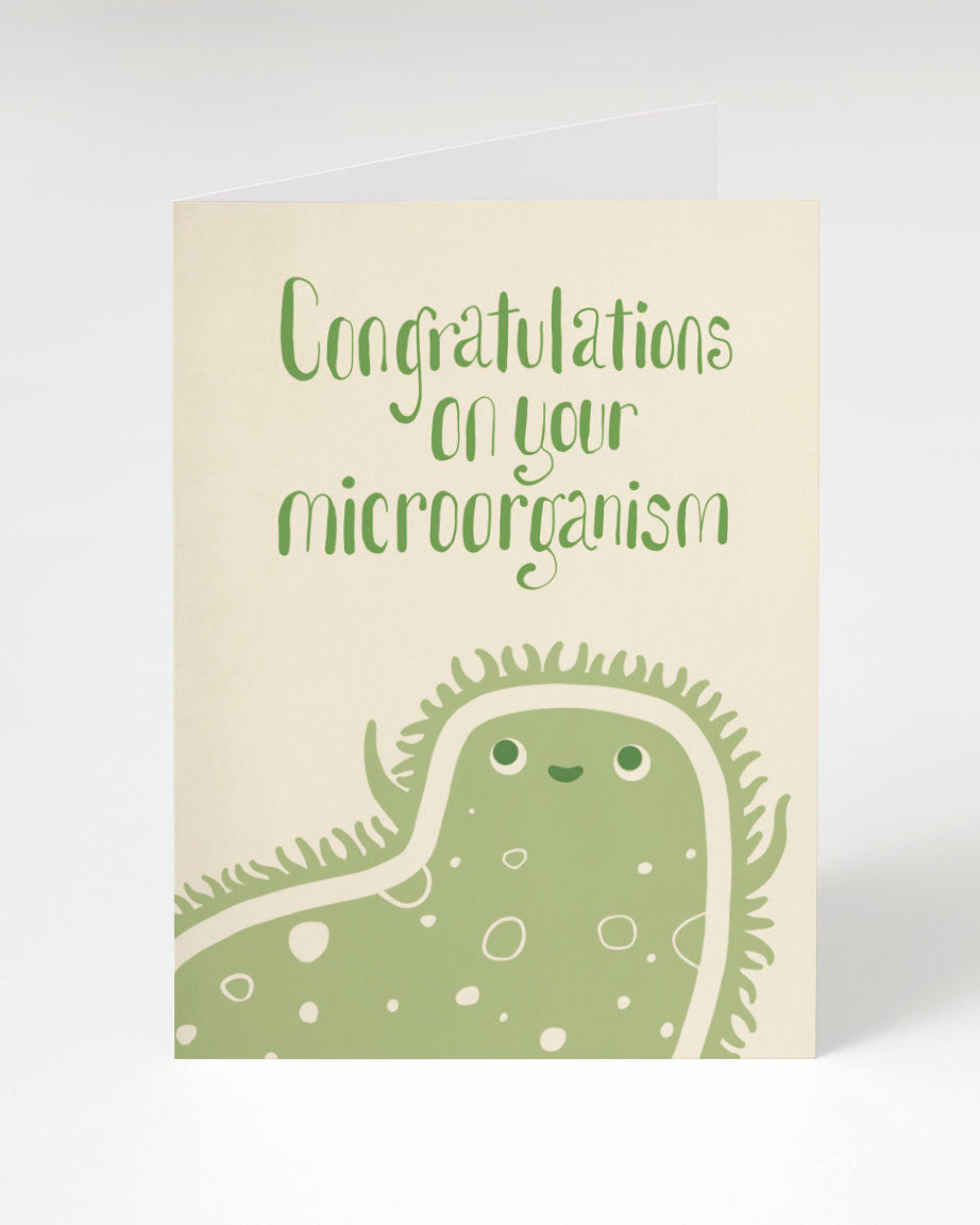 Spider Song Card - Biology Stationery