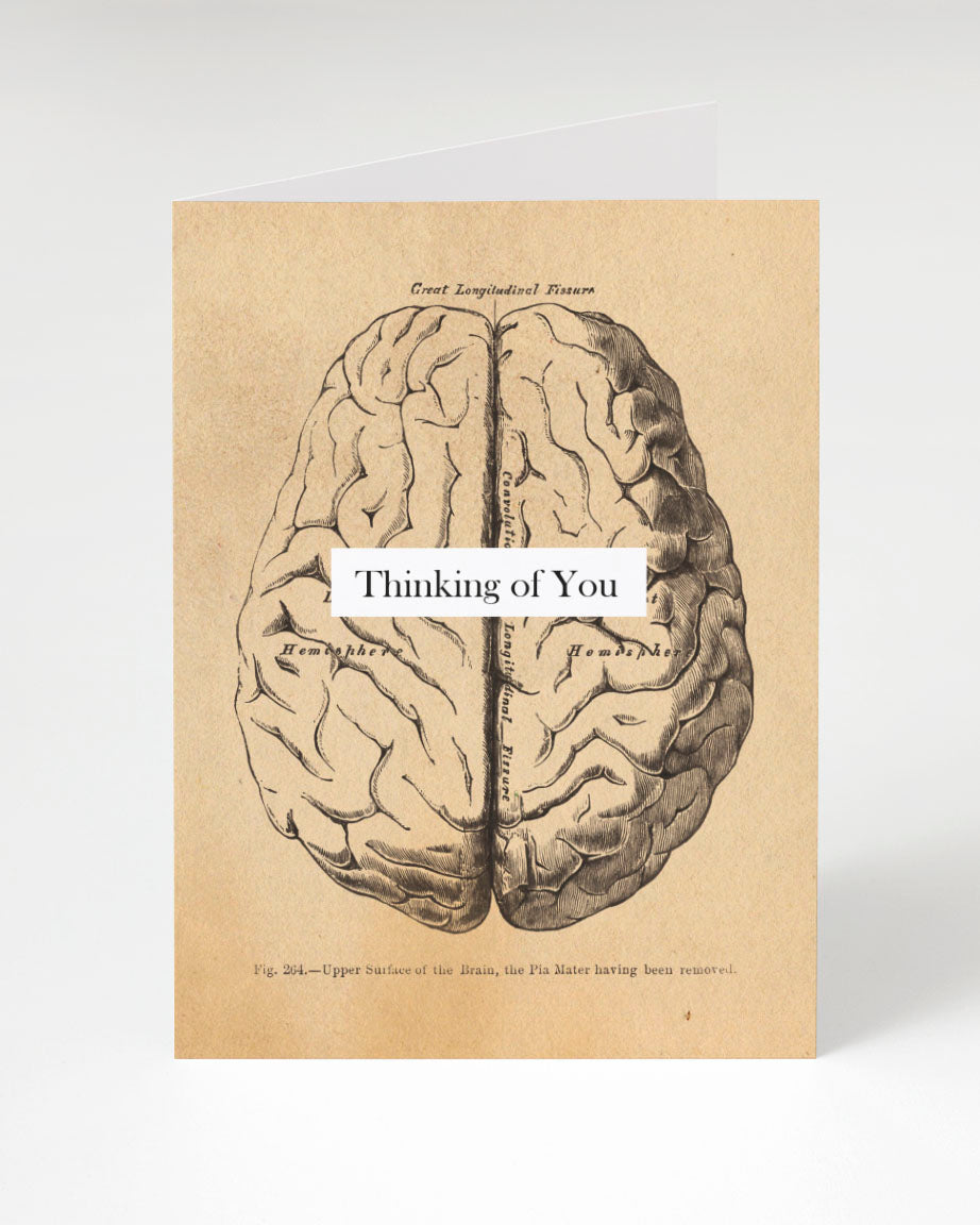 Brain: Thinking of You Greeting Card - Medical Illustration Card Single Brain: Thinking of You Greeting Card - Medical Illustration Card Single