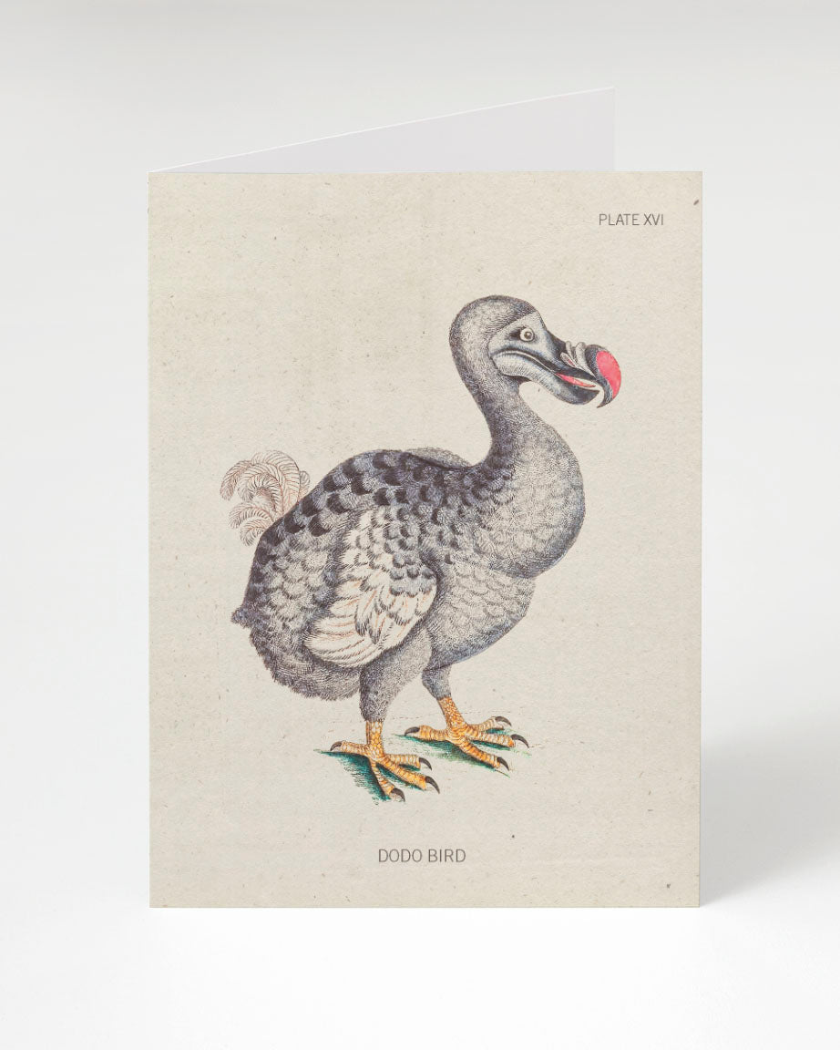 Natural history museum-Dodo-Extinct-Bird Poster