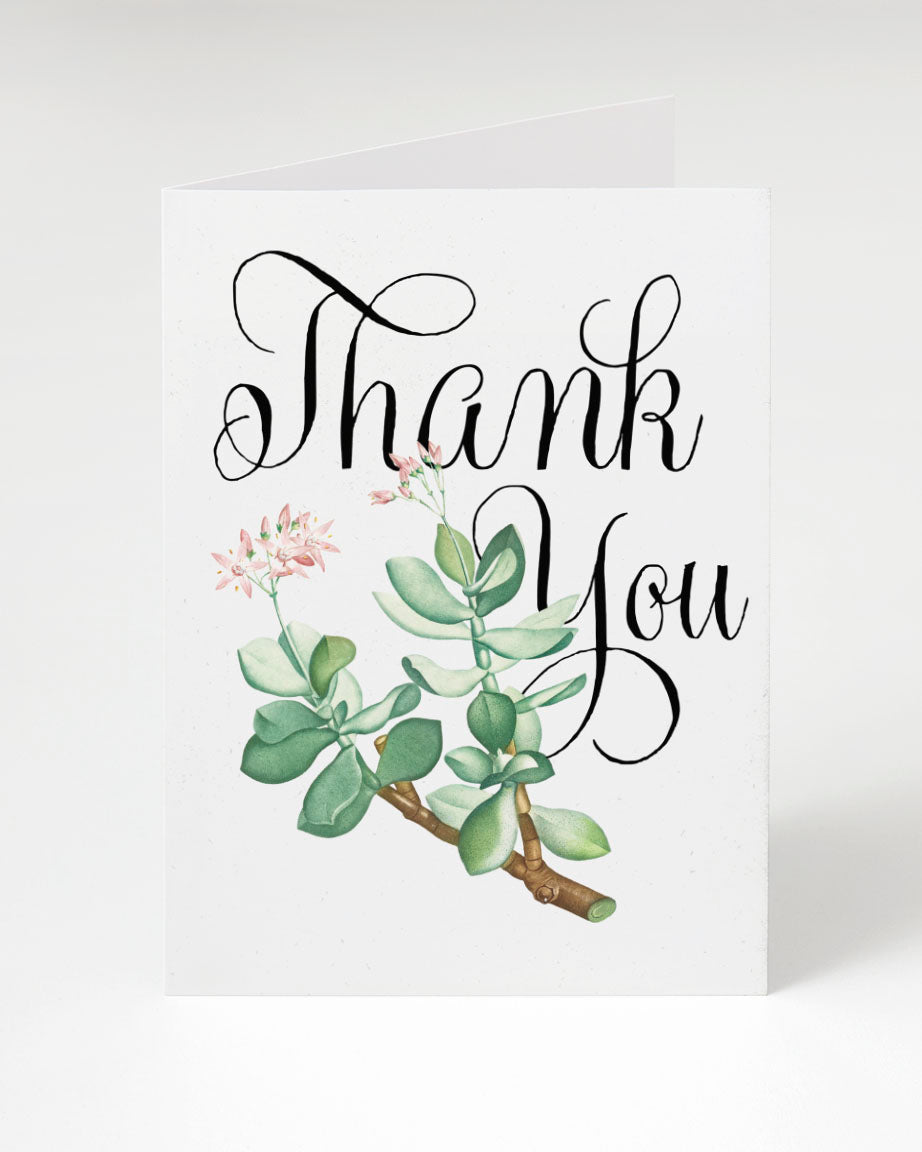 thank you succulents Succulent Greeting Card - Thank You Card