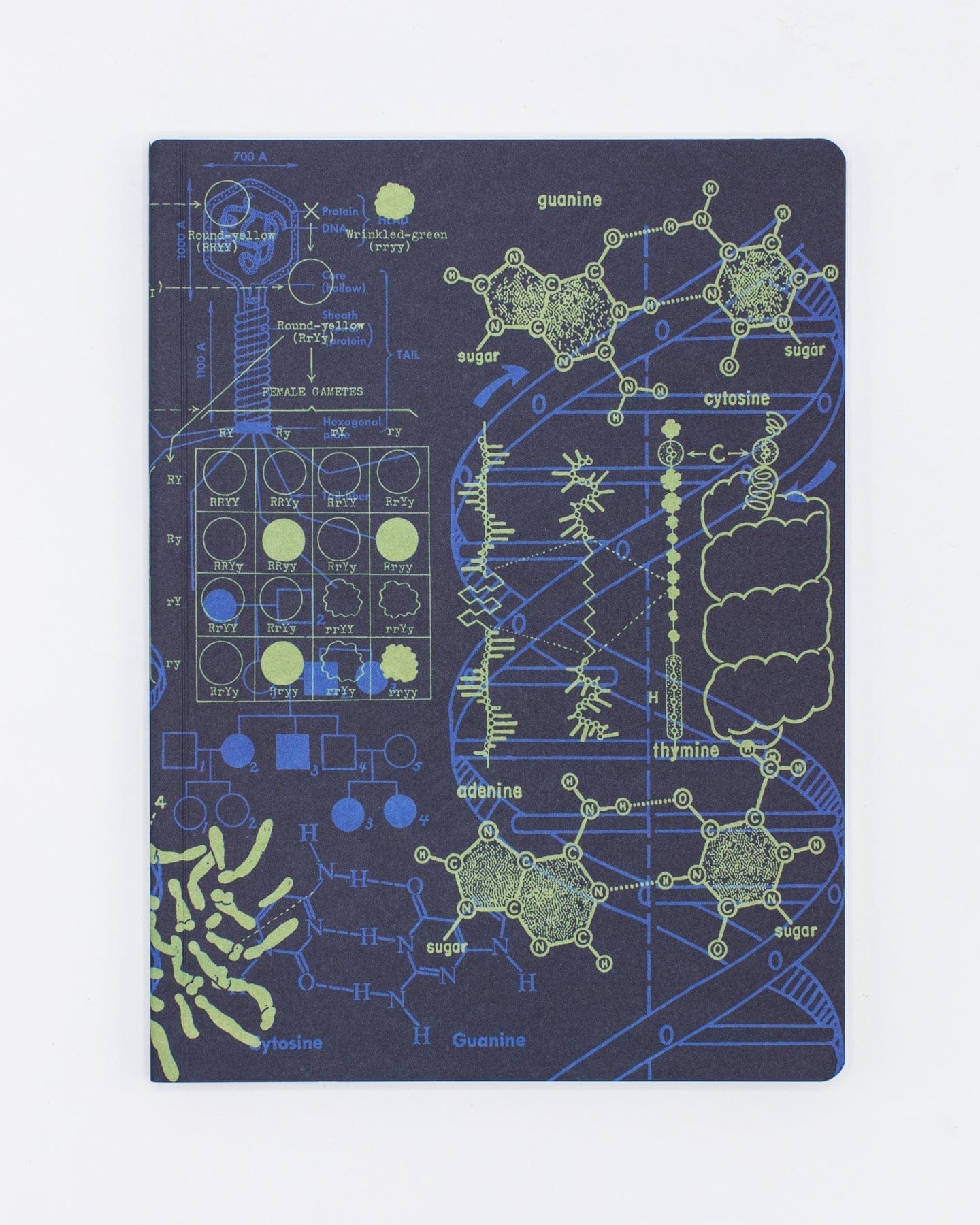 DNA Softcover Notebook | Genetics Science Bullet Journal