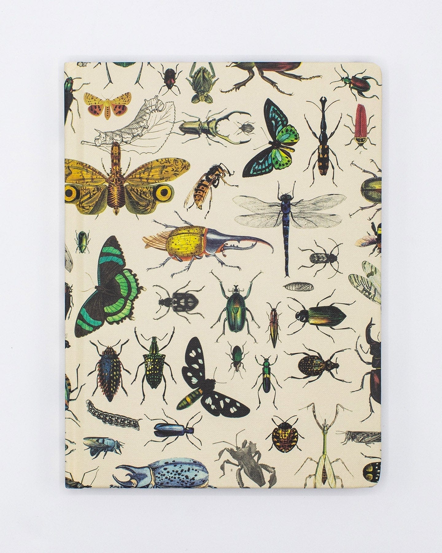 Cognitive　Print　Insect　–　Insect　Hardcover　Notebook　Surplus