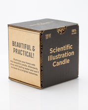 Magnetic Field Cocktail Candle Cognitive Surplus