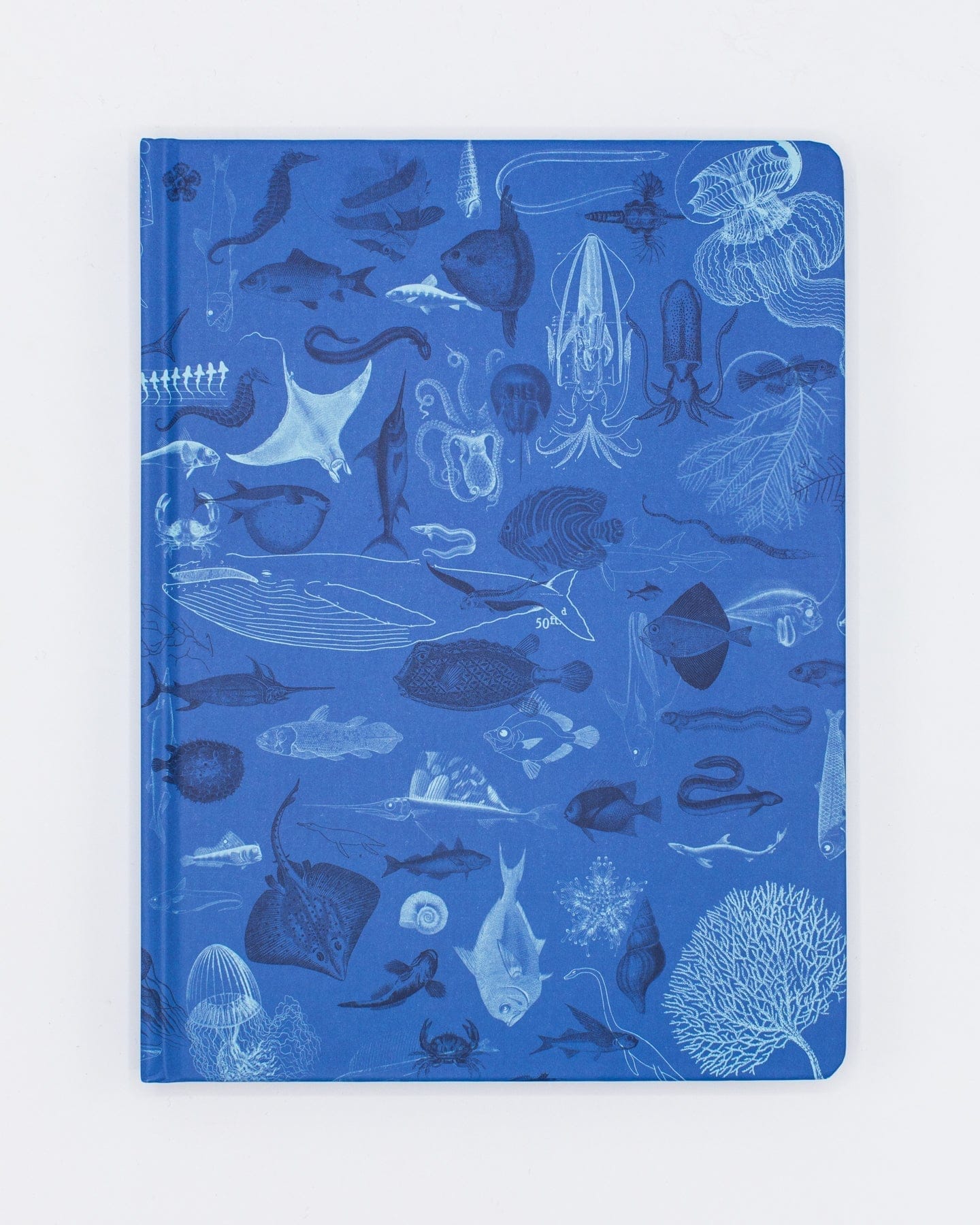 Ocean Art Notebook, Art Journal, Small Notebook, Spiral Bound