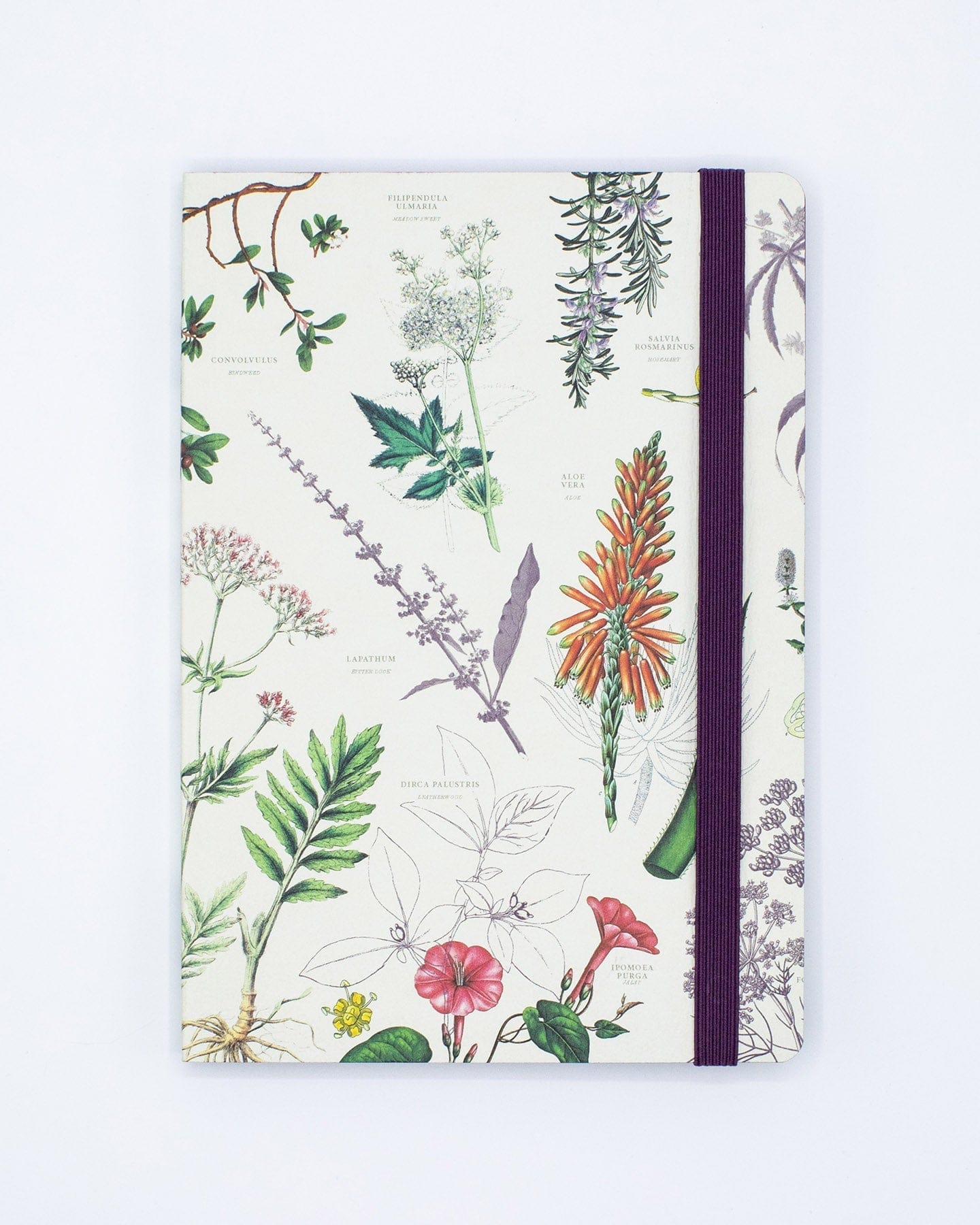 A4 Botanical Stickers for Journals and Planners Herbal Leaves 