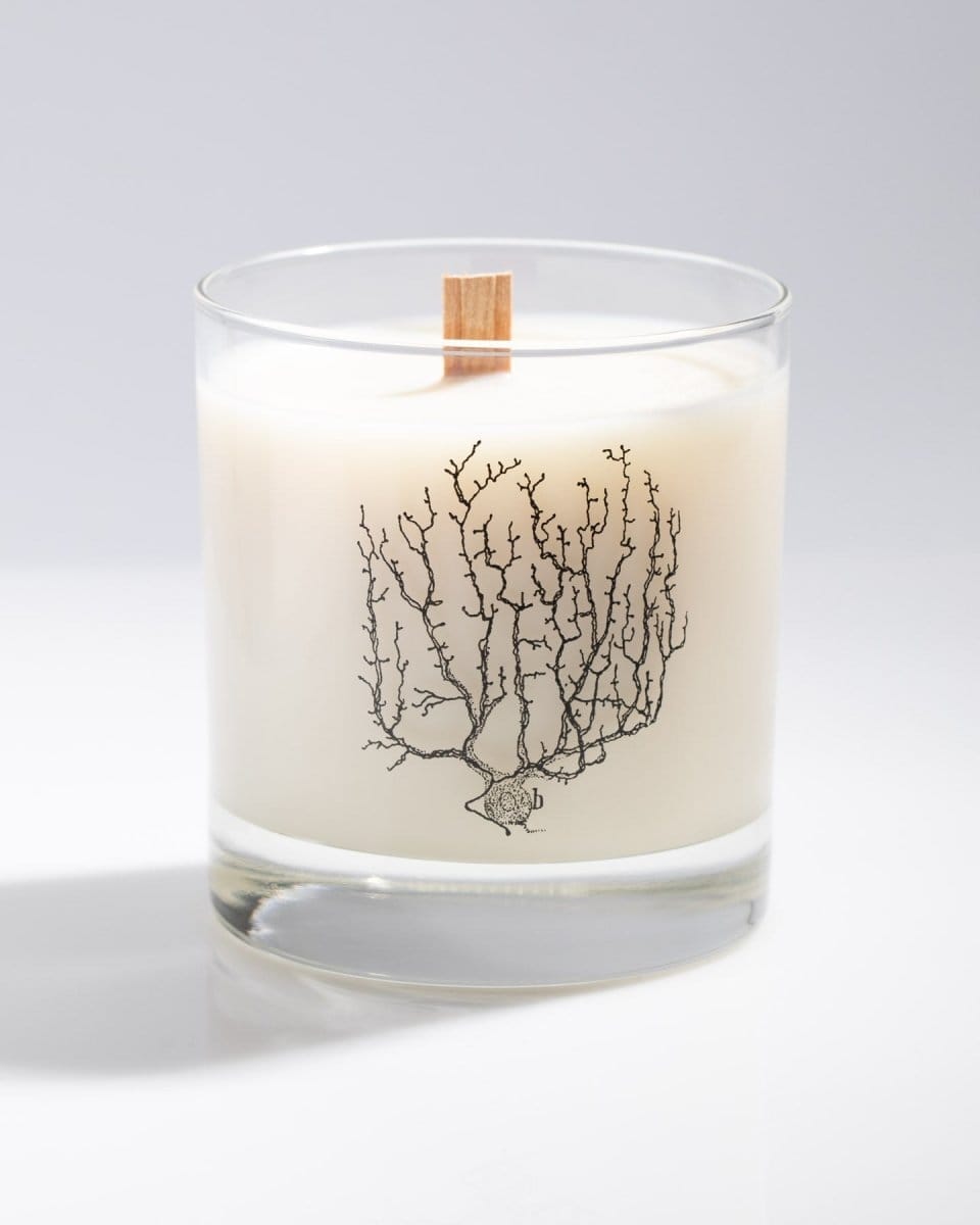 Scented Wickless Candle Melts – Head Art Works