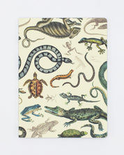 Serpents: Reptiles & Amphibians Softcover - Dot Grid Cognitive Surplus