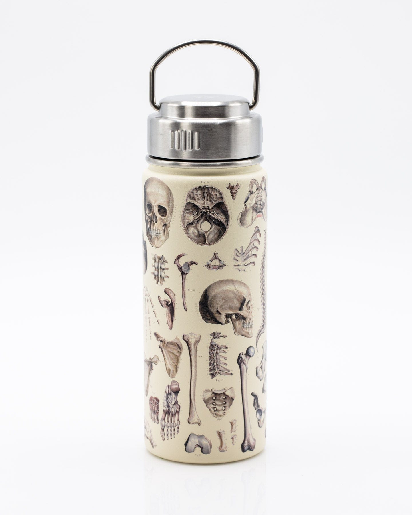 Brain Neuroscience Stainless Steel Flask / Insulated Travel Thermos –  Cognitive Surplus