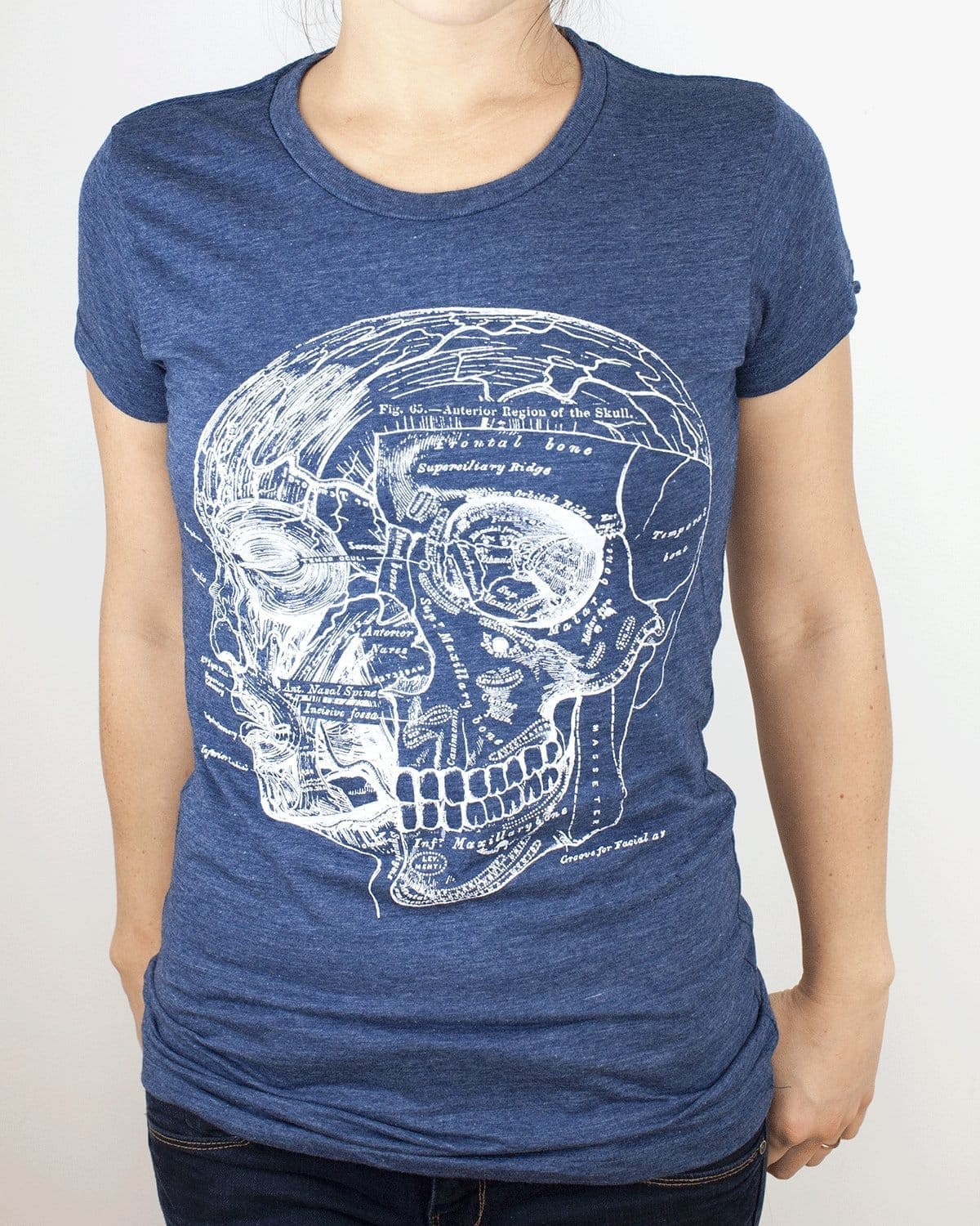 Anatomy Illustration T Shirt | Print TShirt – Cognitive Surplus