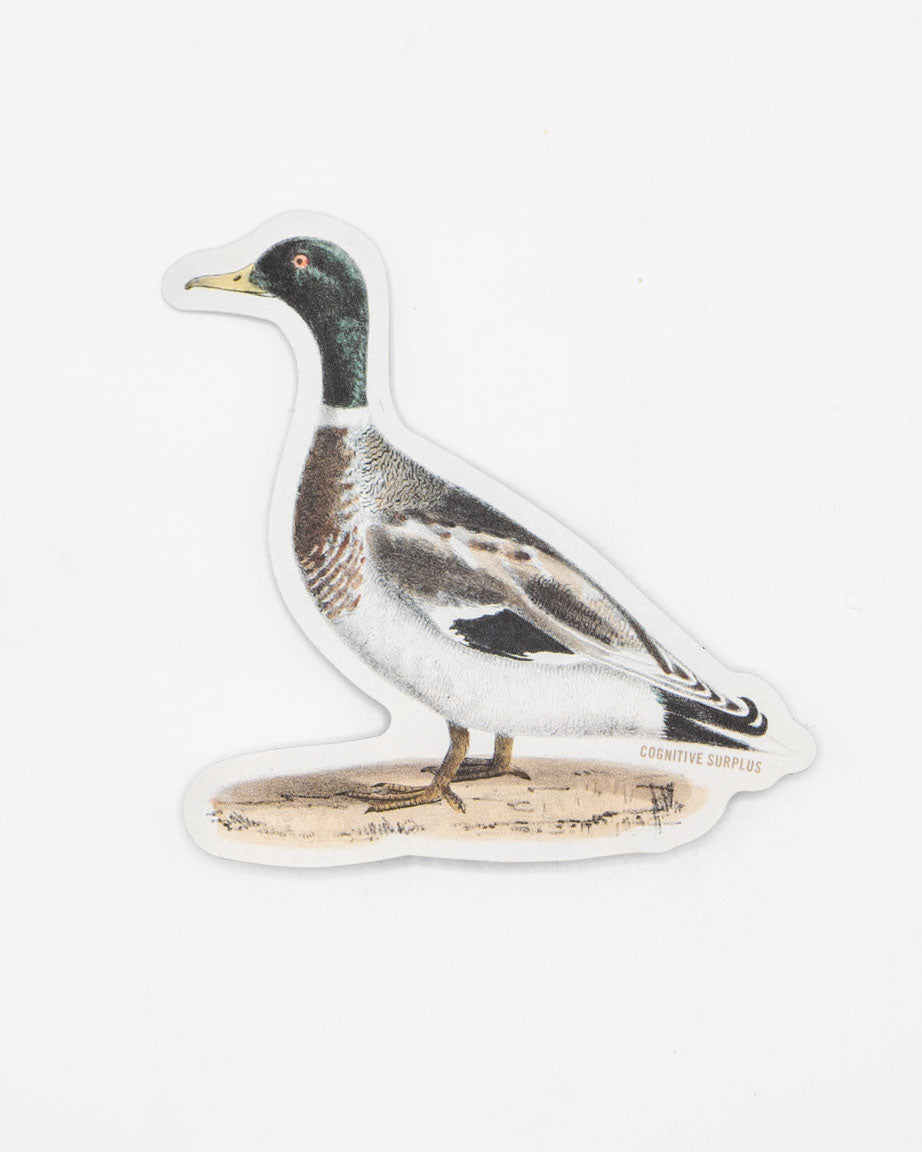 A Mallard Sticker with a duck on it by Cognitive Surplus.