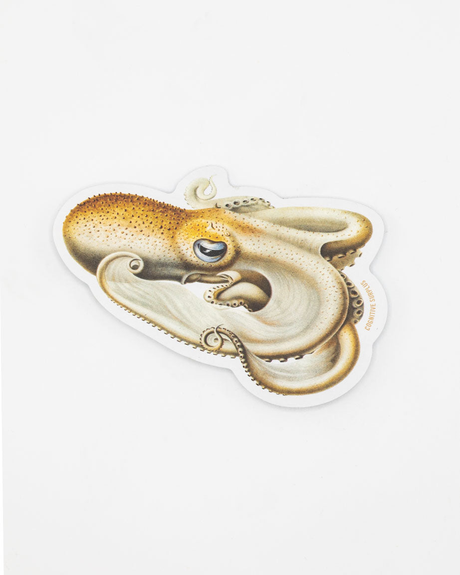 A Velondona Togata Octopus Sticker on a white surface by Cognitive Surplus.