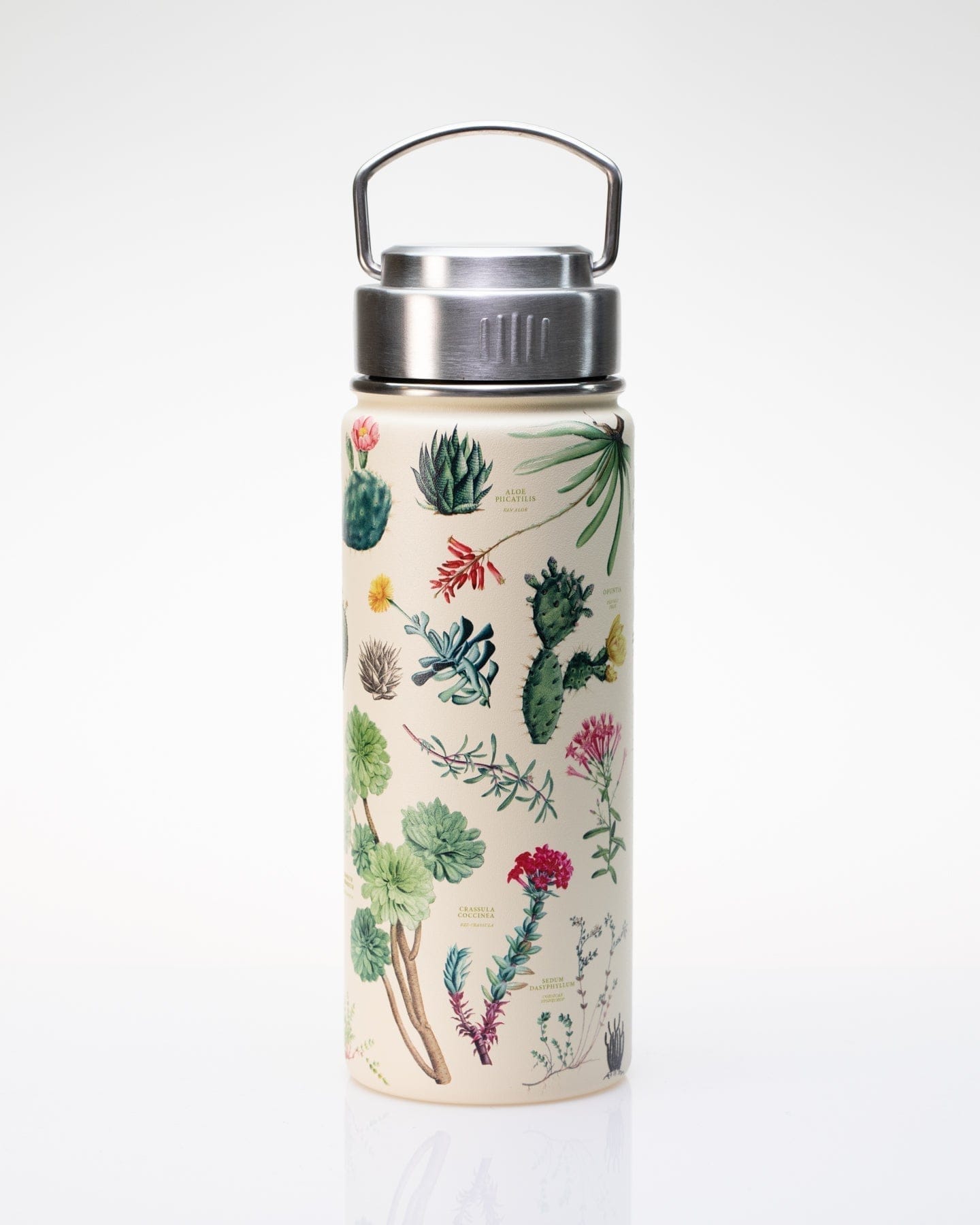 succulents in water bottle Succulents Stainless Steel Travel Mug