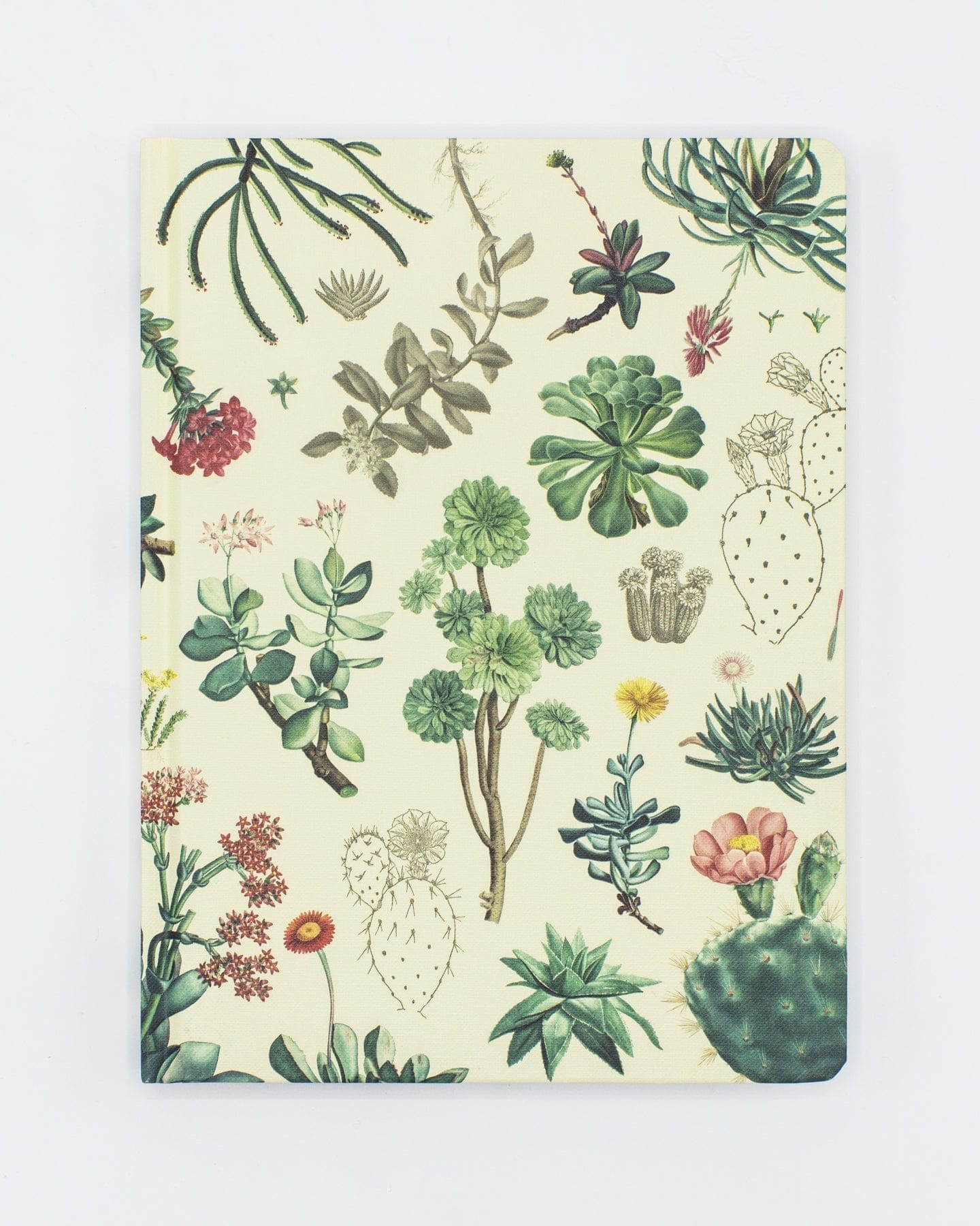 cacti and succulents vintage puzzle Ocean Planet Hardcover