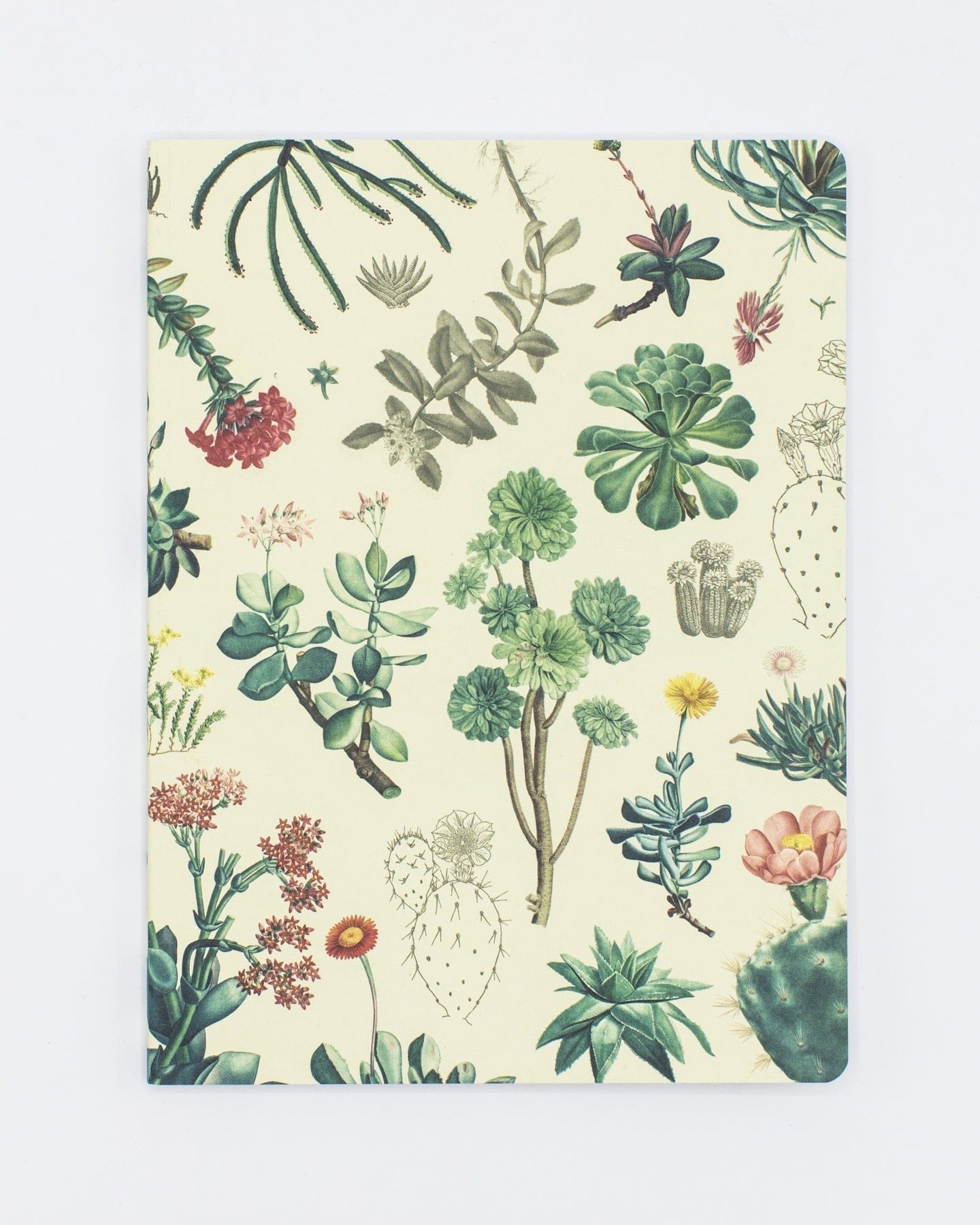 succulent journal Mushroom Notebook - Softcover