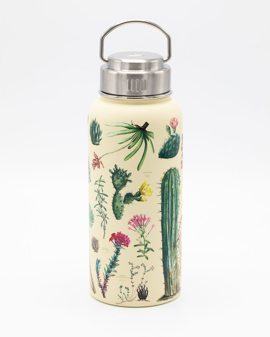 succulent spray bottle Succulents Stainless Steel Travel Mug