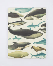 Whales & Seals Softcover - Lined Cognitive Surplus