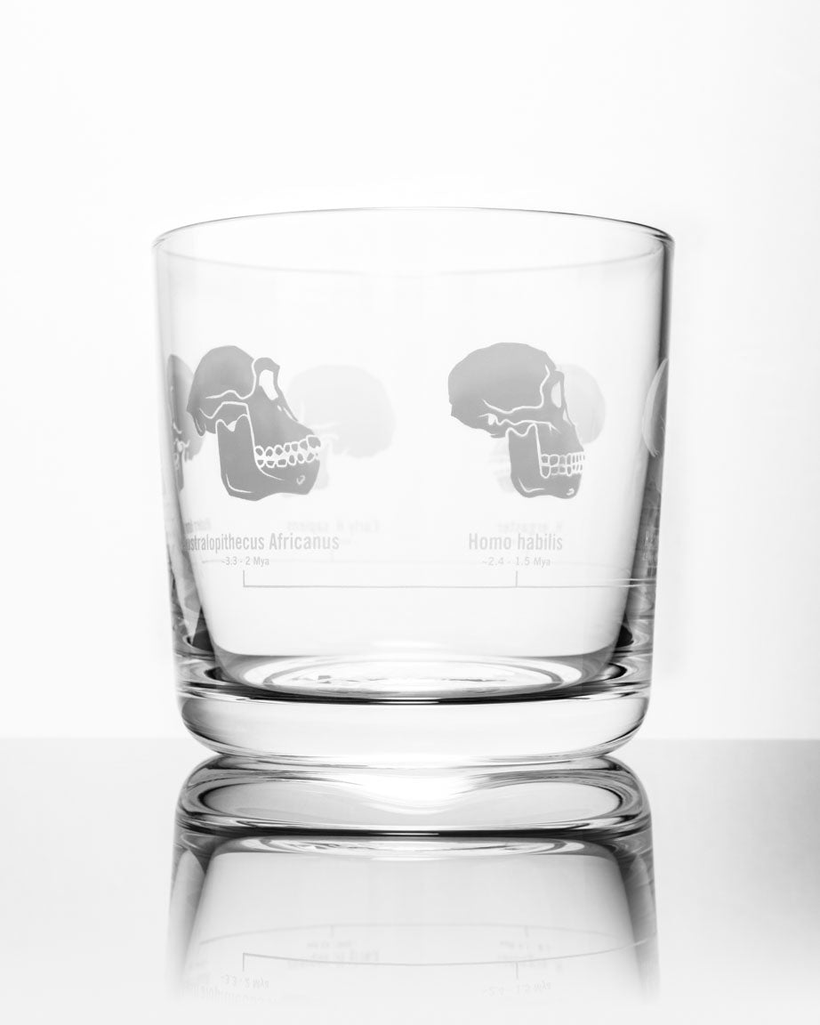 A SECONDS: Hominid Skulls Whiskey Glass by Cognitive Surplus.
