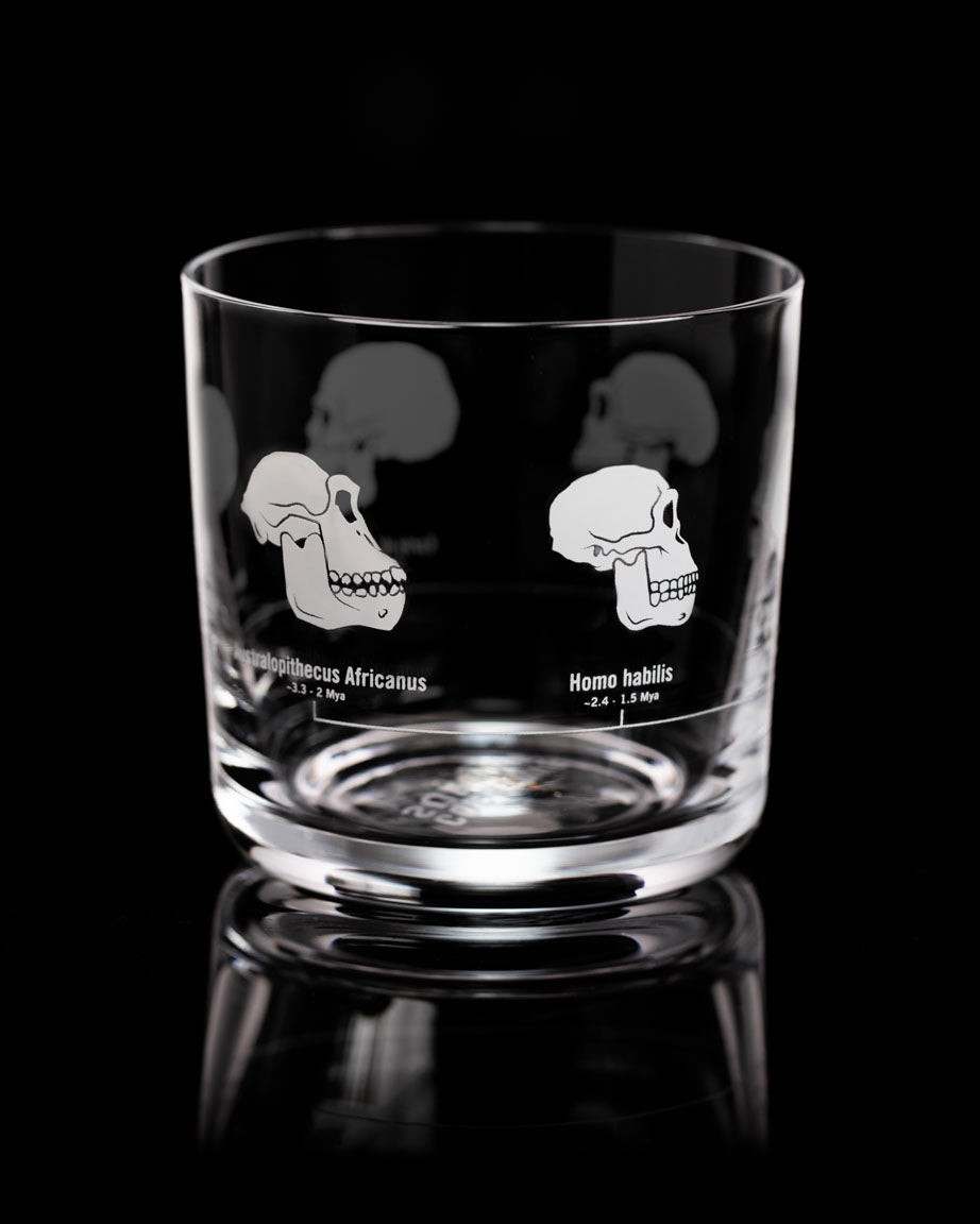 A SECONDS: Hominid Skulls Whiskey Glass by Cognitive Surplus on a black background.
