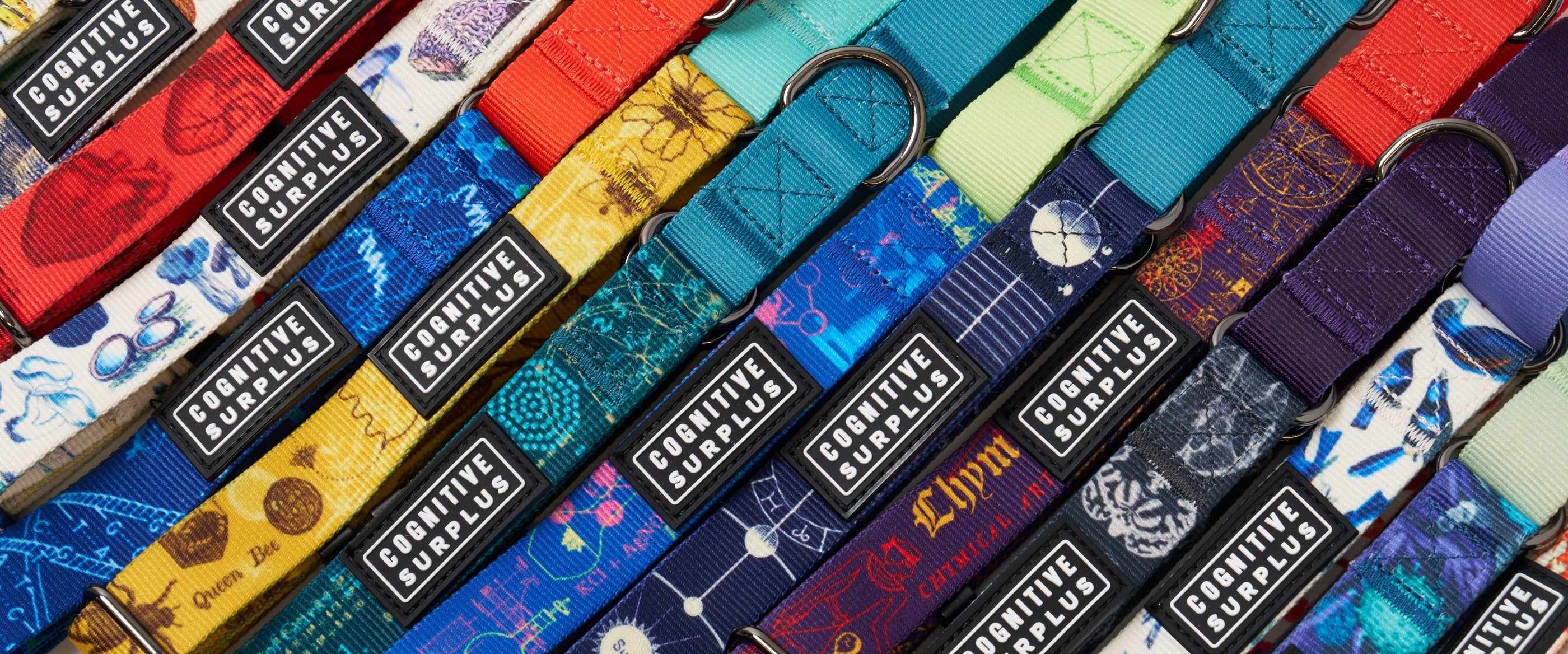 Three adjustable dog collars in different sizes are displayed on a white background. The collars are blue with green straps and feature a printed design and a metal D-ring.