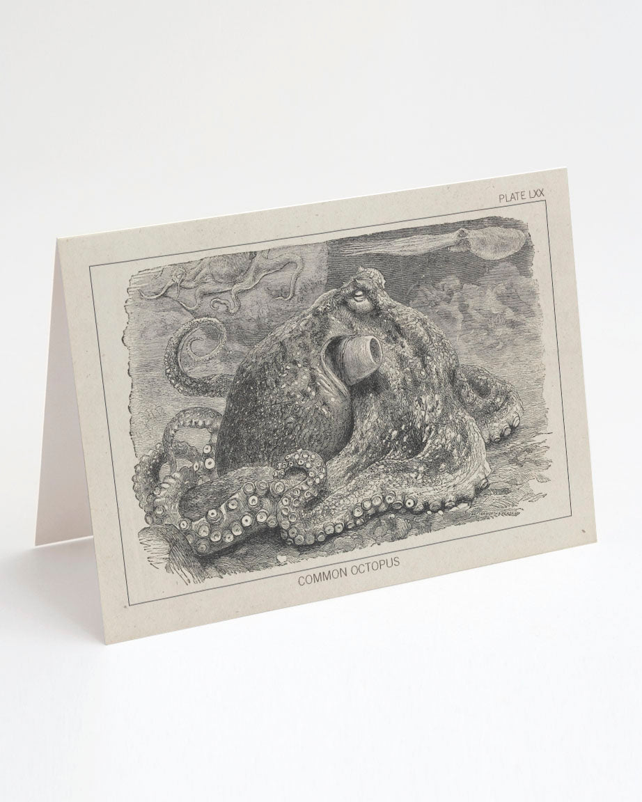 Science Greetings Science Greeting Cards - Unique Greeting Cards | Cognitive Surplus