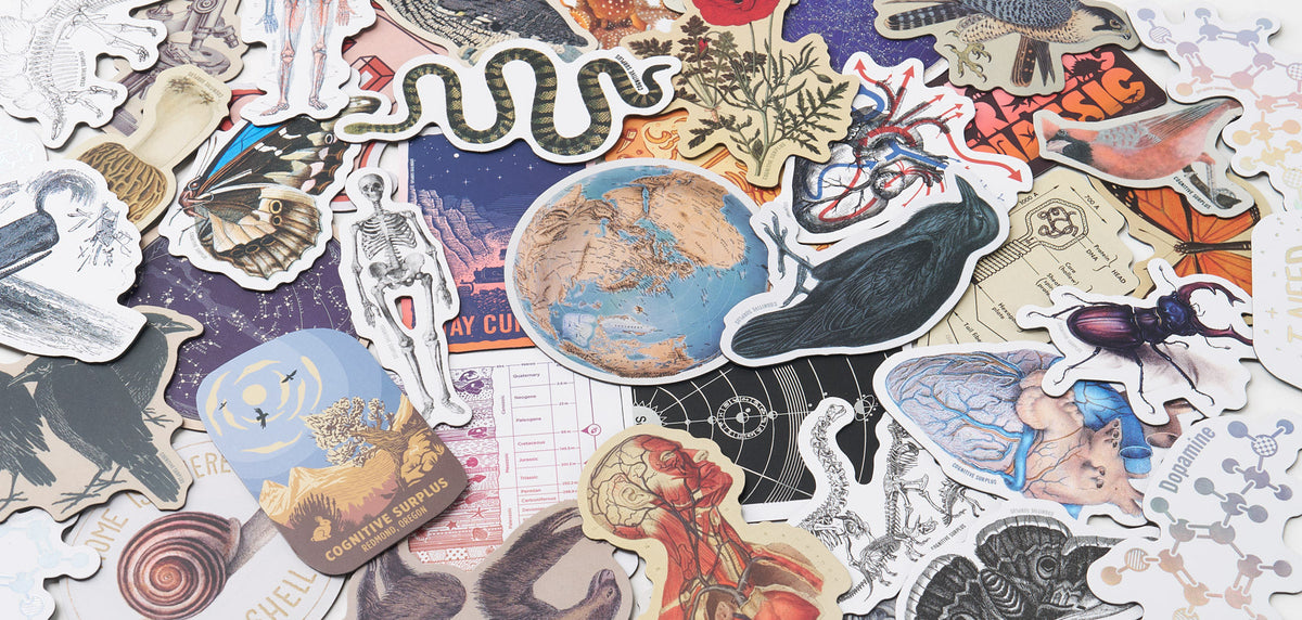 Magnets – Cognitive Surplus