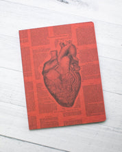 Anatomical Heart Softcover - Lined Cognitive Surplus