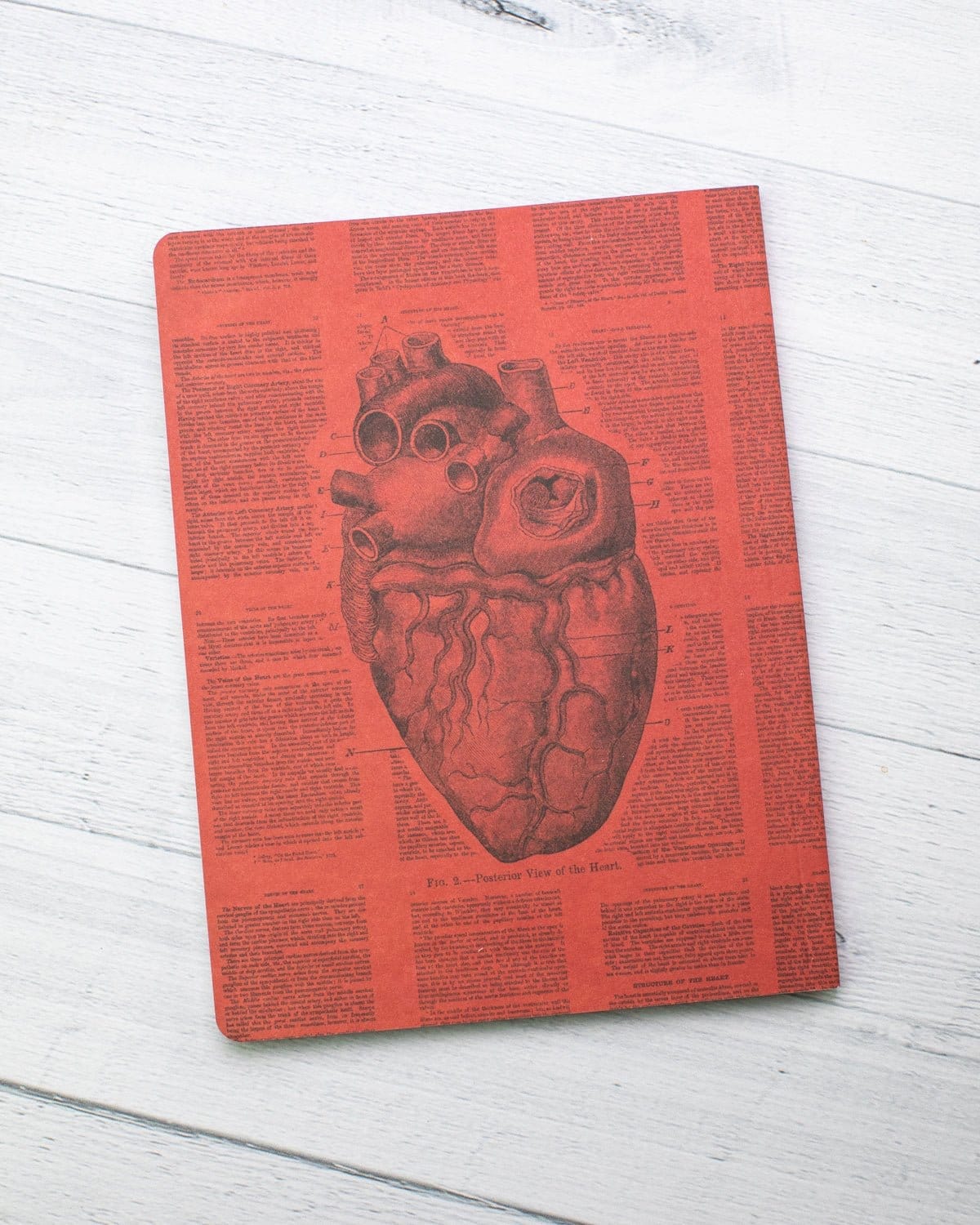 Anatomical Heart Softcover - Lined Cognitive Surplus