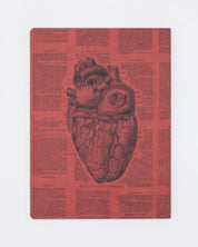Anatomical Heart Softcover - Lined Cognitive Surplus