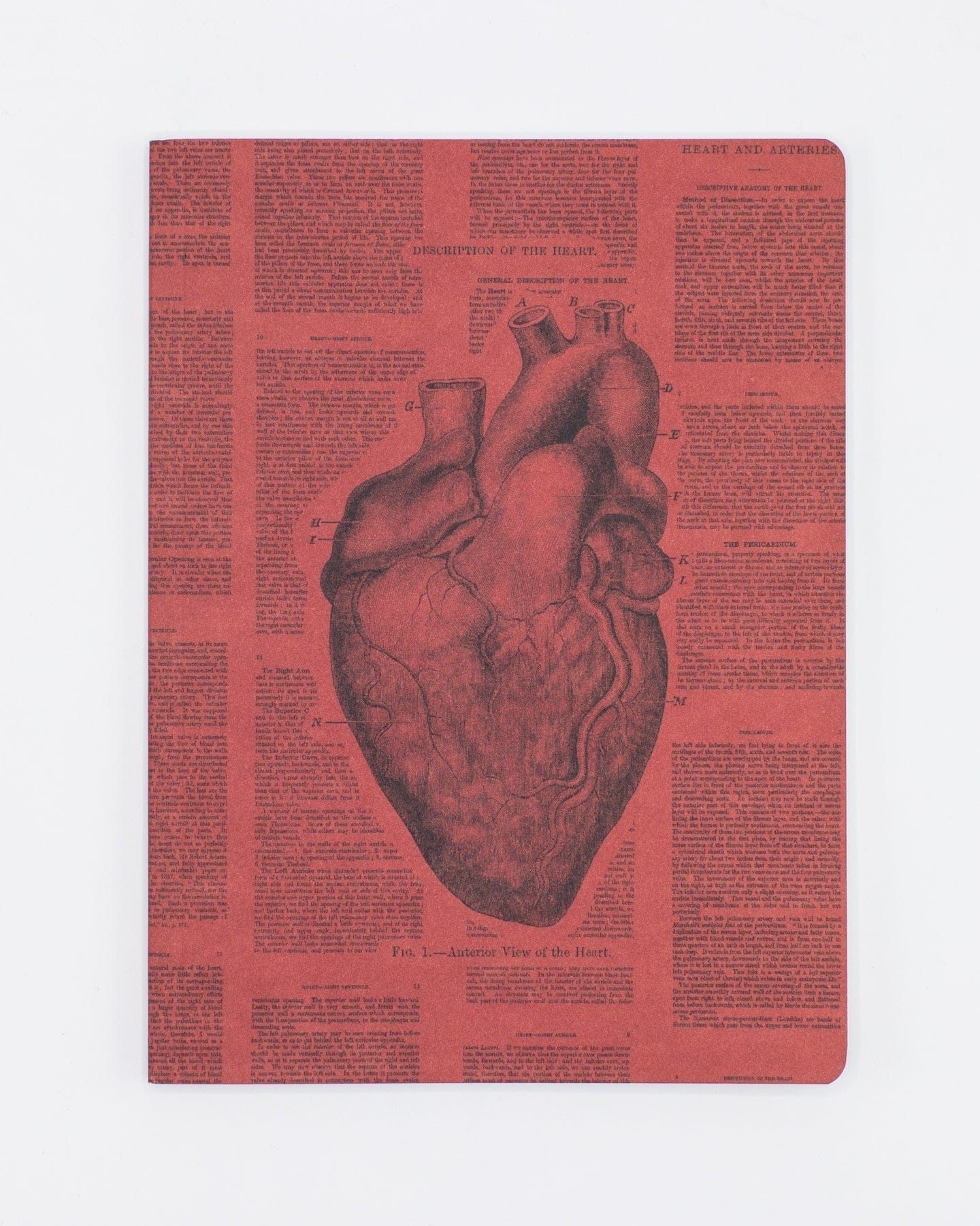 Anatomical Heart Softcover - Lined Cognitive Surplus