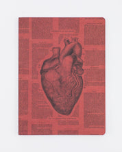 Anatomical Heart Softcover - Lined Cognitive Surplus