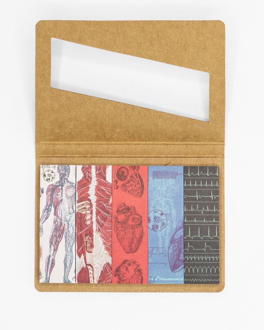 SECONDS: Anatomy Page Flags